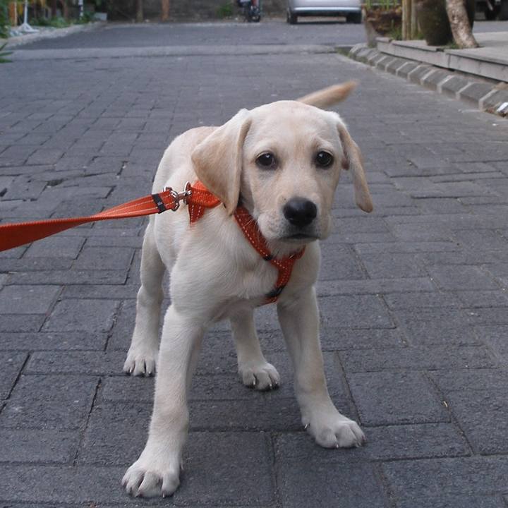 24d0c130 f214 4635 b885 077906efa0ec