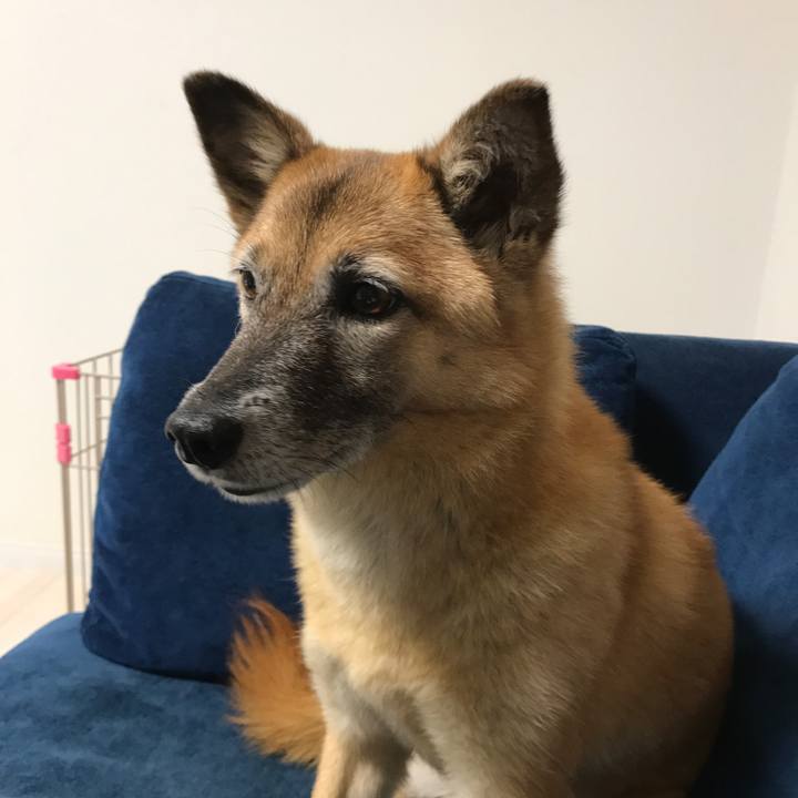 24d0e38d 958d 42d9 b27b ad75fdb98e4e