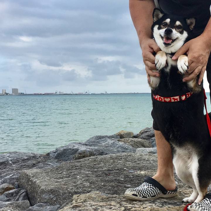 24d18bd3 1d27 456f 8d3c 64957df0e629