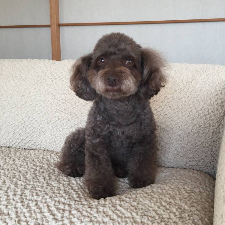 24d1a313 0dac 4bd9 8a88 875fee269714