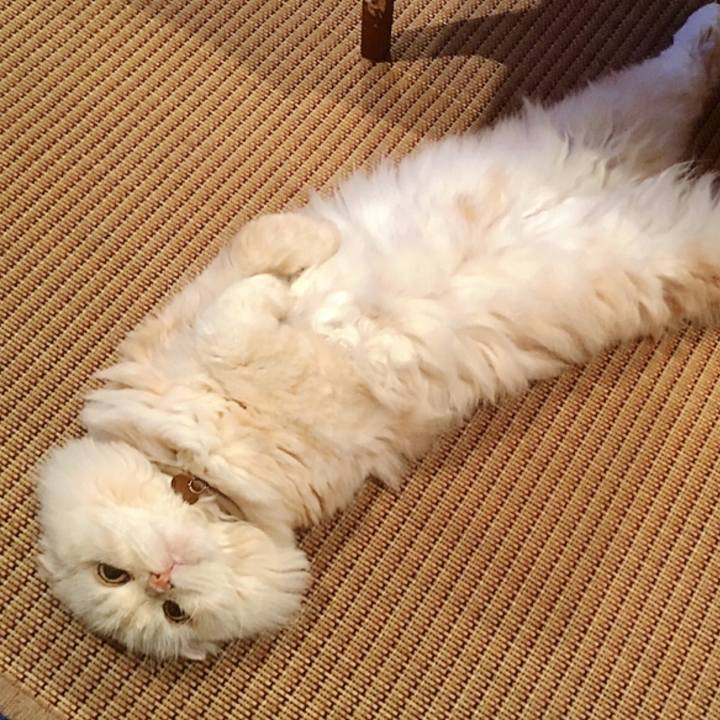 24d1ba6b a96c 4c6f 9a78 ec86f20c4278