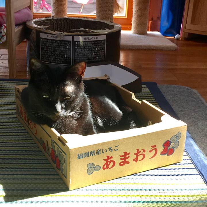 24d23f90 9c7e 4271 8d8a 5d87c1c254d8