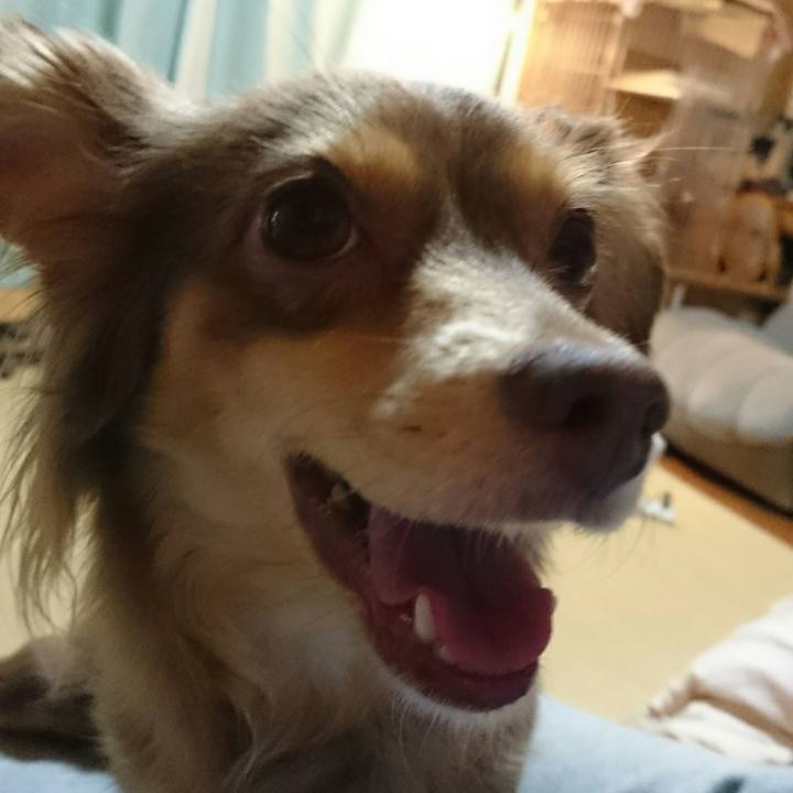 24d2ae77 e7b3 477f bf1c d96267ccec1c