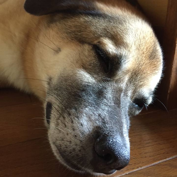 24d34069 5c91 46e5 9ba4 aa960209e041