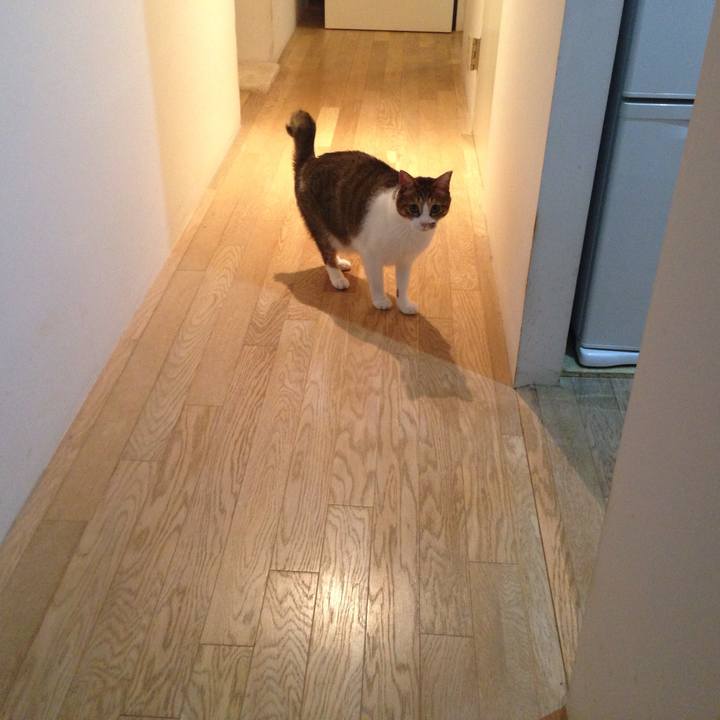 24d36476 5dd7 407b bbe1 0b78fa68f5ef