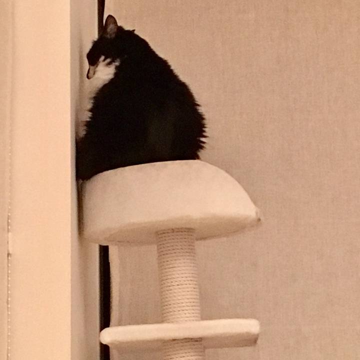 24d40eba 6b96 45f8 a542 ed3d437ce873