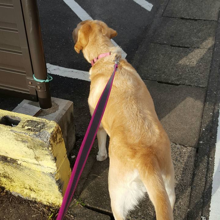 24d515d2 bf5d 4eba 8f37 60df23f70749