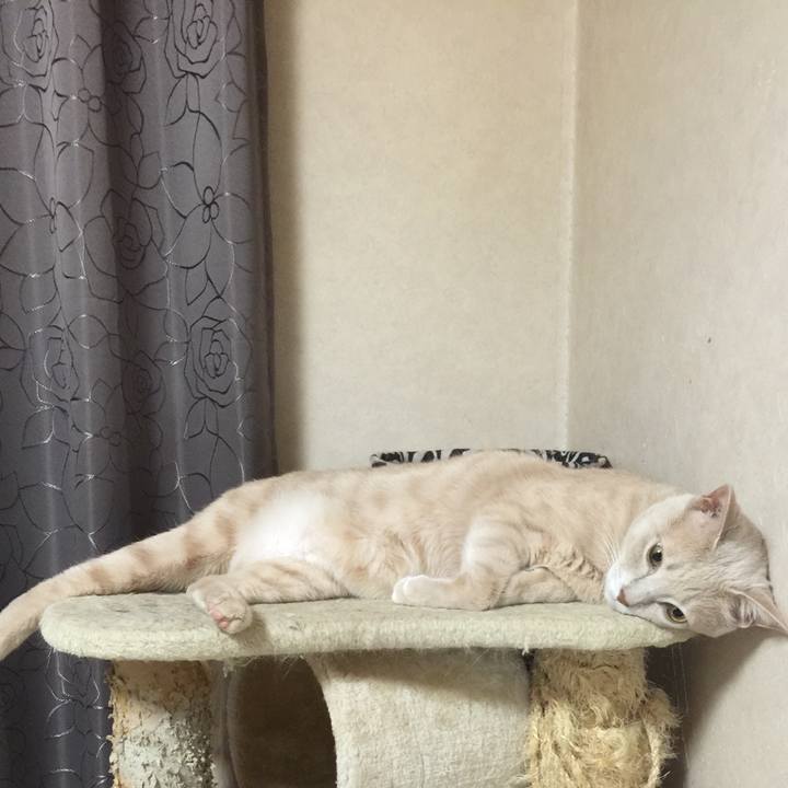 24d515ef 581e 4515 b7cb e44af5642a65