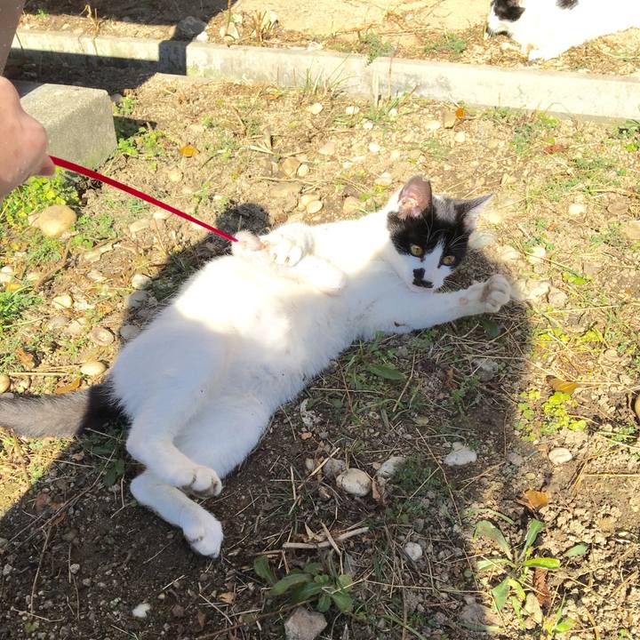 24d528b6 15bd 47a4 8cdb dd3f847ddeeb