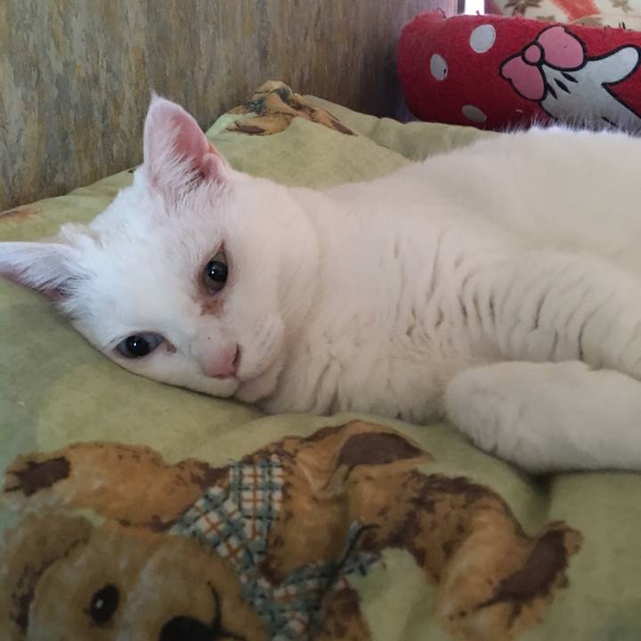 24d577f0 fba2 4c88 a722 dc37d8d93b6e