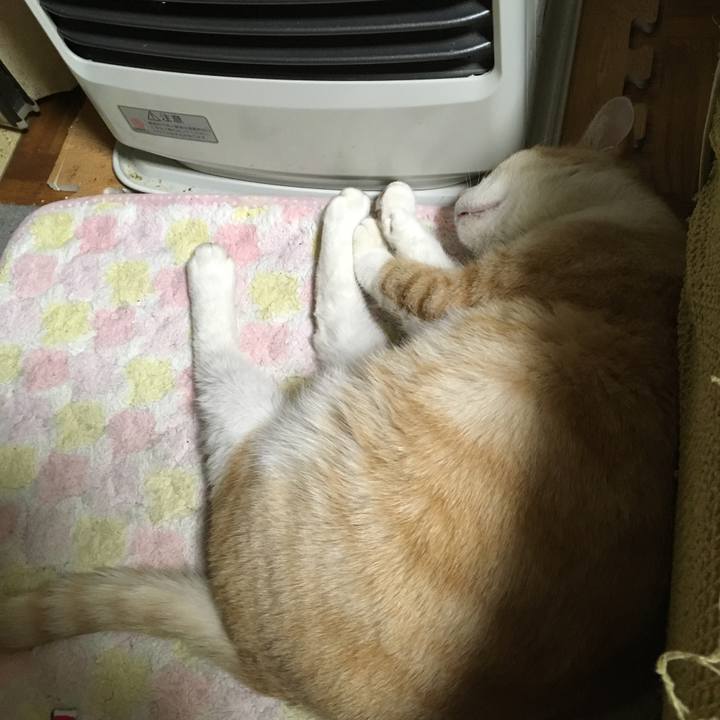 24d59df5 13be 426d 8914 8691e512a169