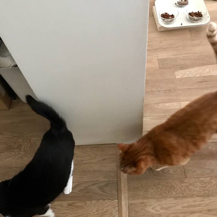 24d61261 0481 4343 abb5 f721b35f01a5