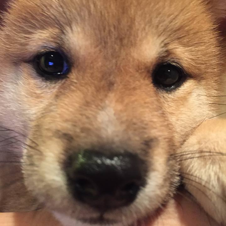 24d62a9f 4836 4618 bebe 8f2954f61047