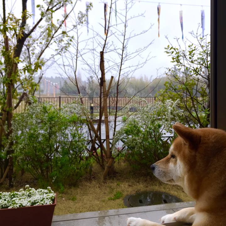 24d64405 f4d6 46af a329 923d29a7cfd0