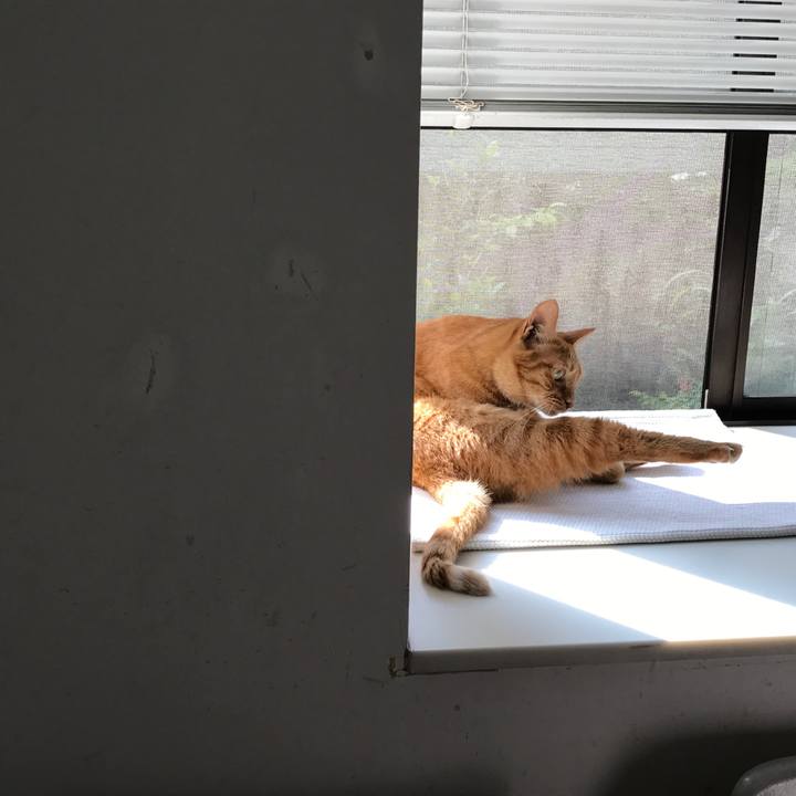 24d687fc f39c 4f1c 94a9 b89b6484efc1