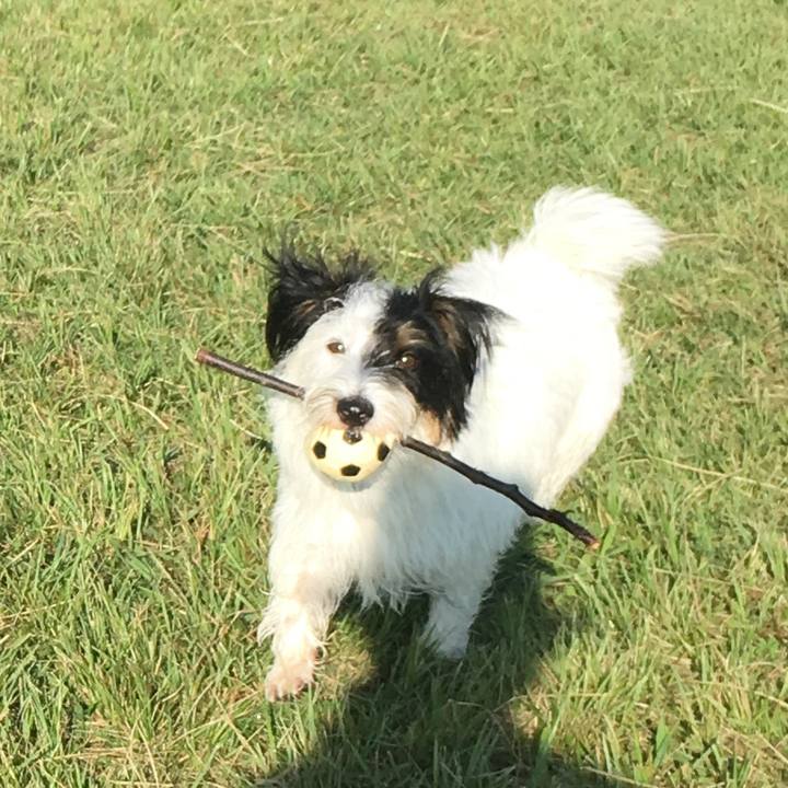 24d6c992 31f0 4013 872a 0f1ec2ea38a1