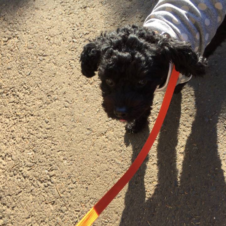 24d74e09 62a6 446a 8904 fdfc3ad5a323