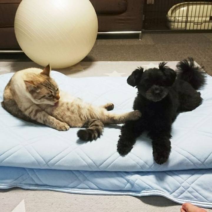 24d7a257 8134 430c 8624 080a9983a4c1