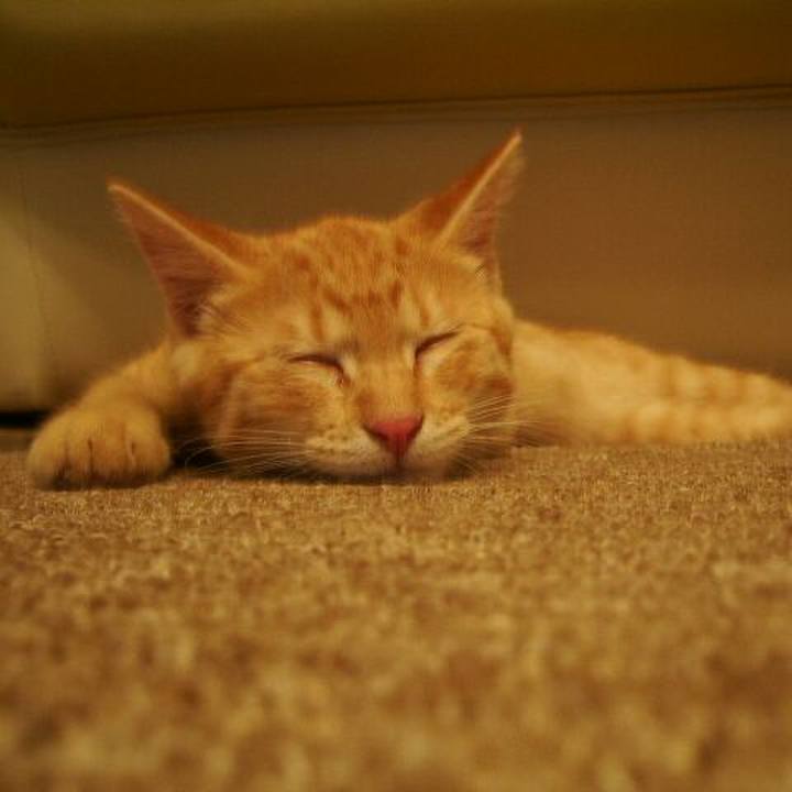 24d80817 852d 49e5 8e19 14b8ce7443a5