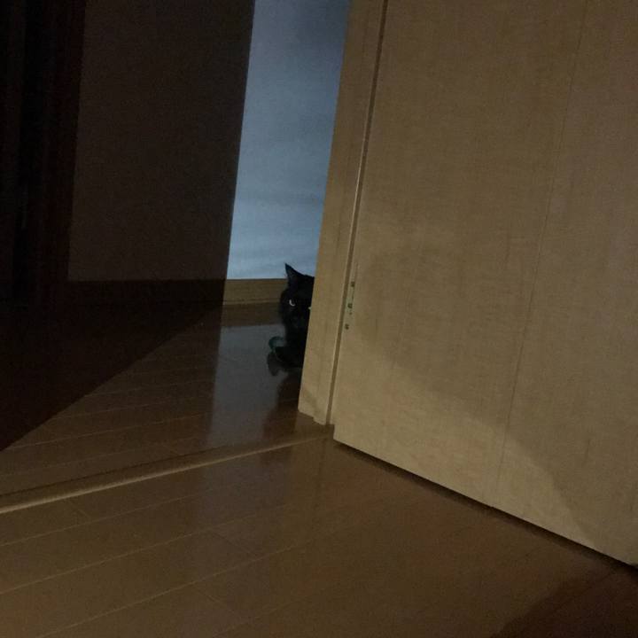 24d8b701 6308 4ea5 8347 f50e26dfd614