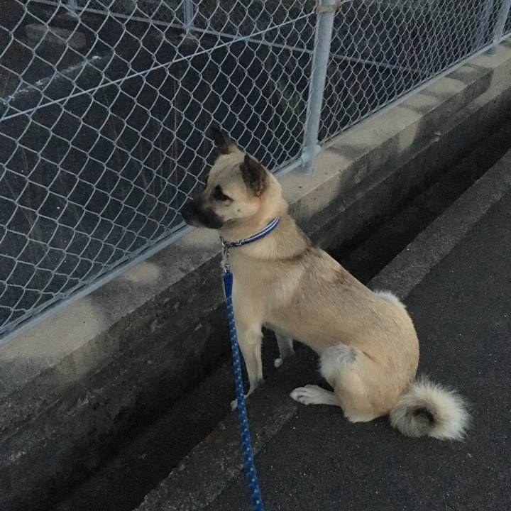 24d8f6aa 3f90 4dc9 ae50 3b151c55d7b9