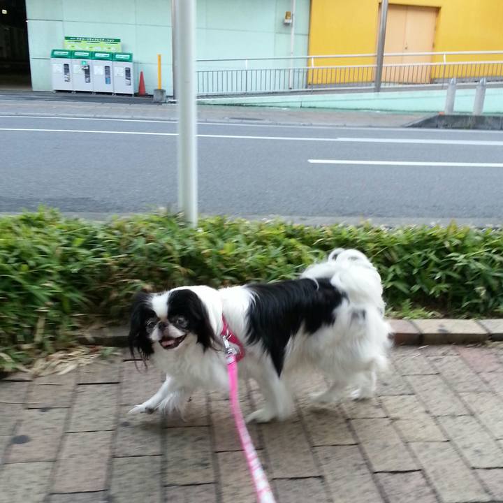 24d91ca3 2116 4f4e 91eb 65489dba606b