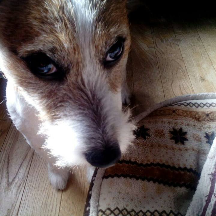 24d9690c f392 425b 8760 a630a1df913c