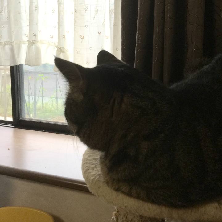 24d9f3dd a559 4e85 aea6 8b0dca6c9322