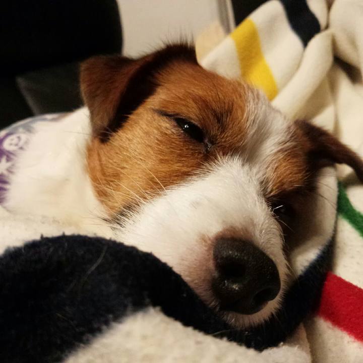 24da015b 2a09 408f b62a 7e5d5710df38