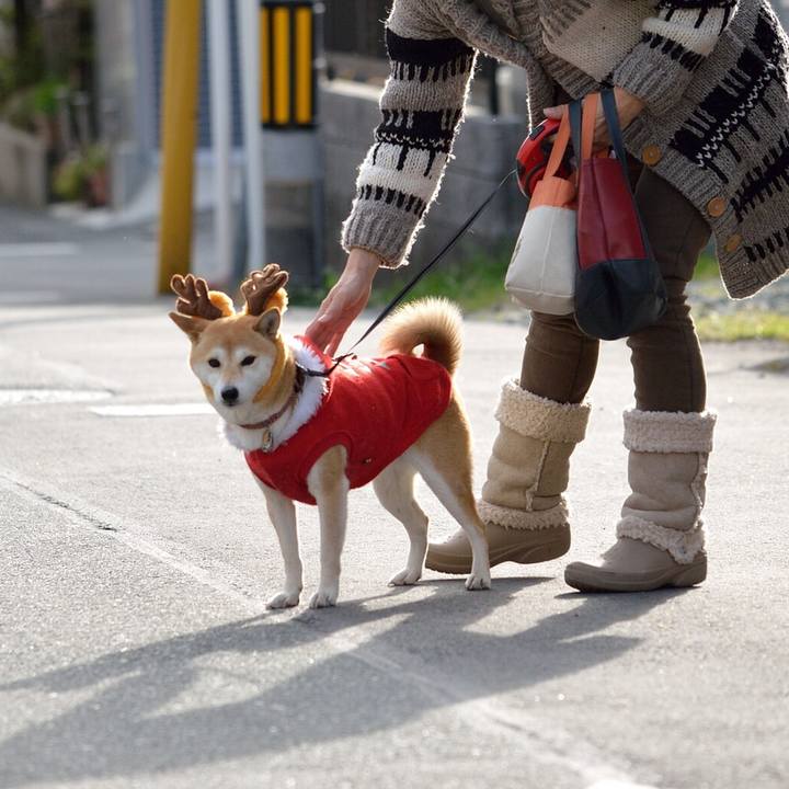 24dab5a1 6319 4023 900f 68a330659a3a