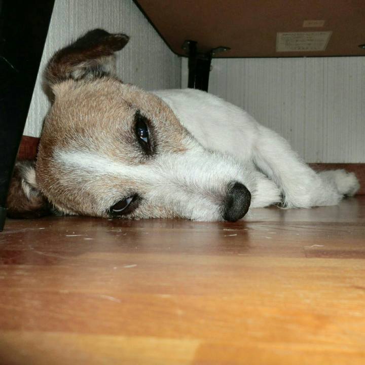 24db60d5 4232 4d3f bb93 c9354d5bd885