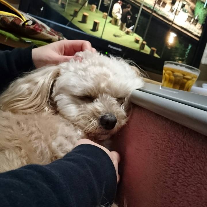 24db67ab 9c87 4182 a0ad 32852f0f70cc