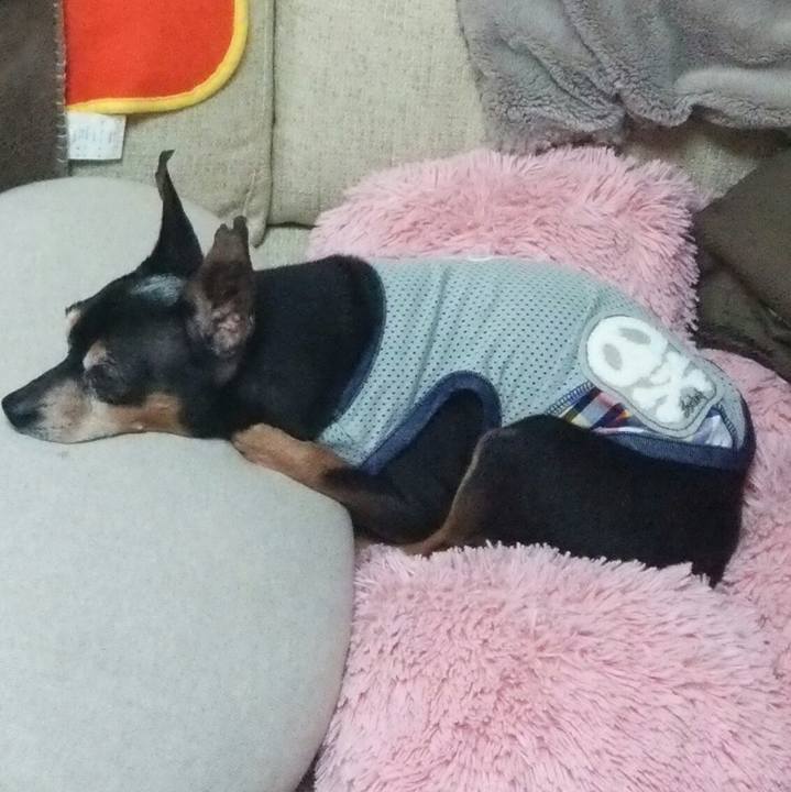 24db9693 71ea 4f79 b691 628cf5c41bab