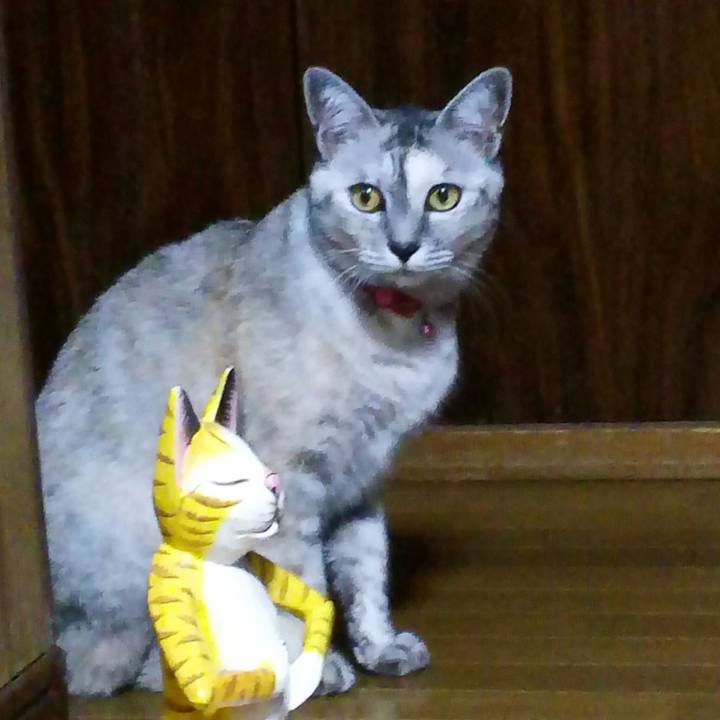 24dbfd89 f09e 432a bf94 c522454fc92b