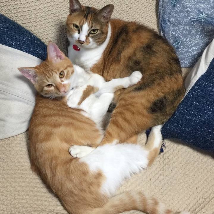 24dcc735 0925 4eff 82cb ee905002dd55