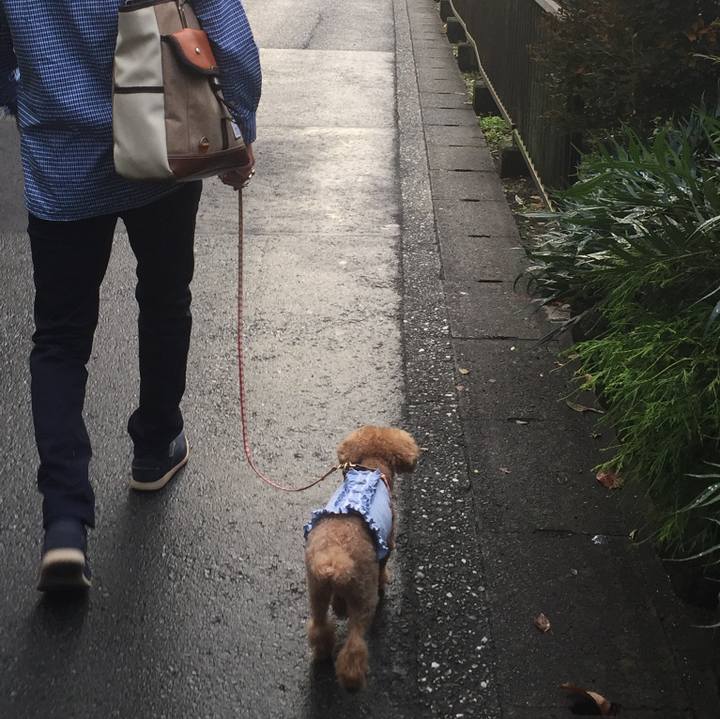 24dcdee8 54ae 4680 8244 7b3f14e8c491