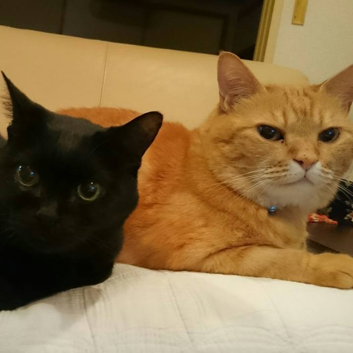 24dd2979 32cb 4248 aa1e d4d1fc0c8276