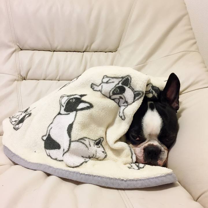 24dd52b0 e19f 4e6c 8bf9 477876923fb2