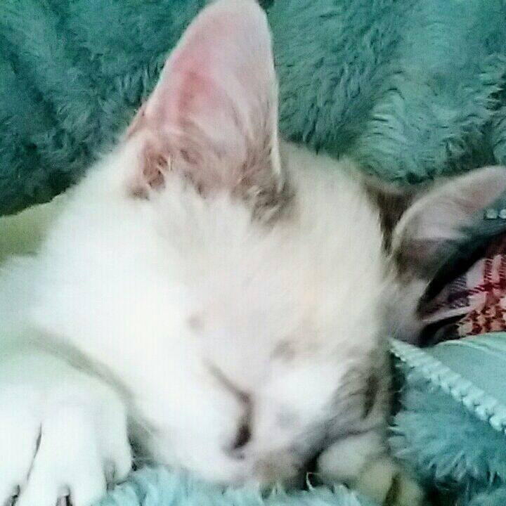 24dd9e2e 3ffa 49f4 8303 9e0cc33c0e44