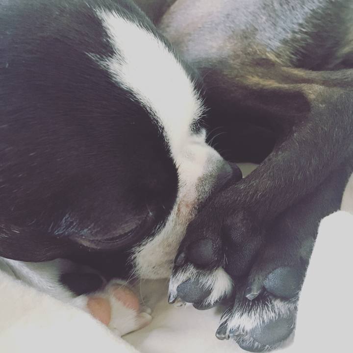 24ddc456 df83 4382 9802 73385ecbdb0a