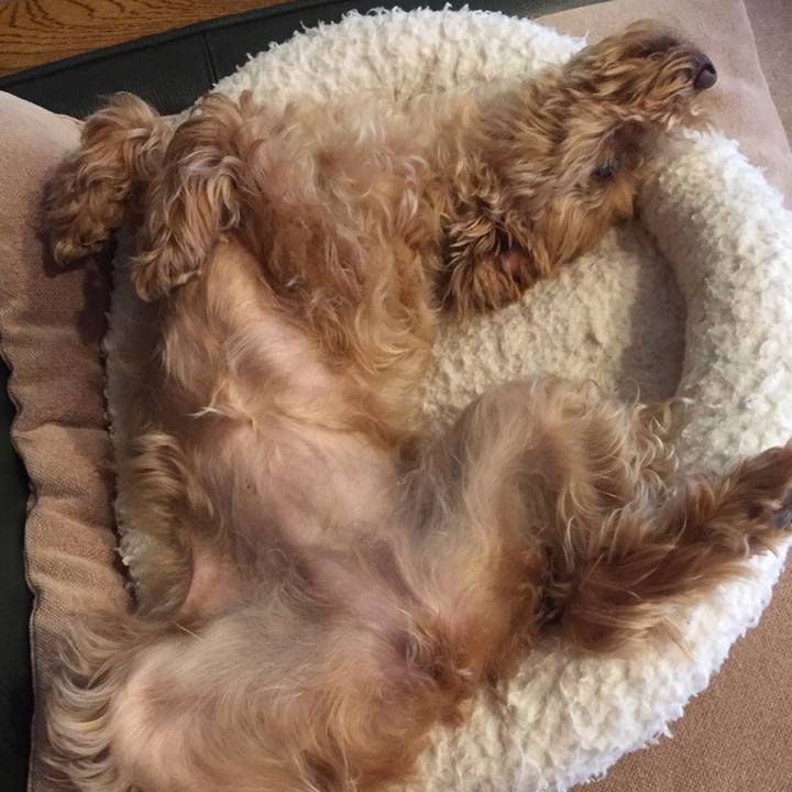 24ddd3d1 2db3 4a70 b577 c6cd86698150