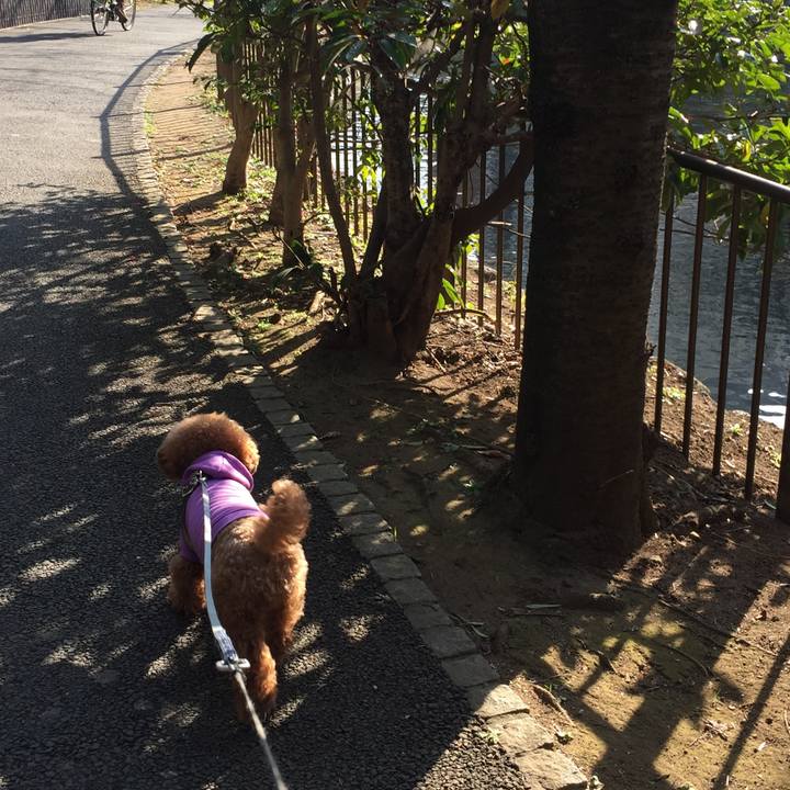 24de3412 7ab5 4ccb 9cea 0959509c1bb3