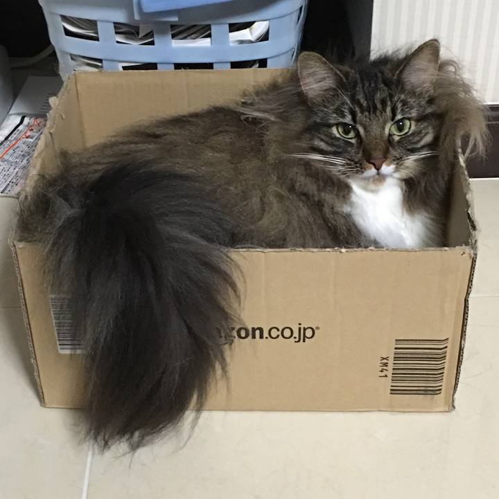 24de444d f074 434d 8c1d 7909e0e1e8c2