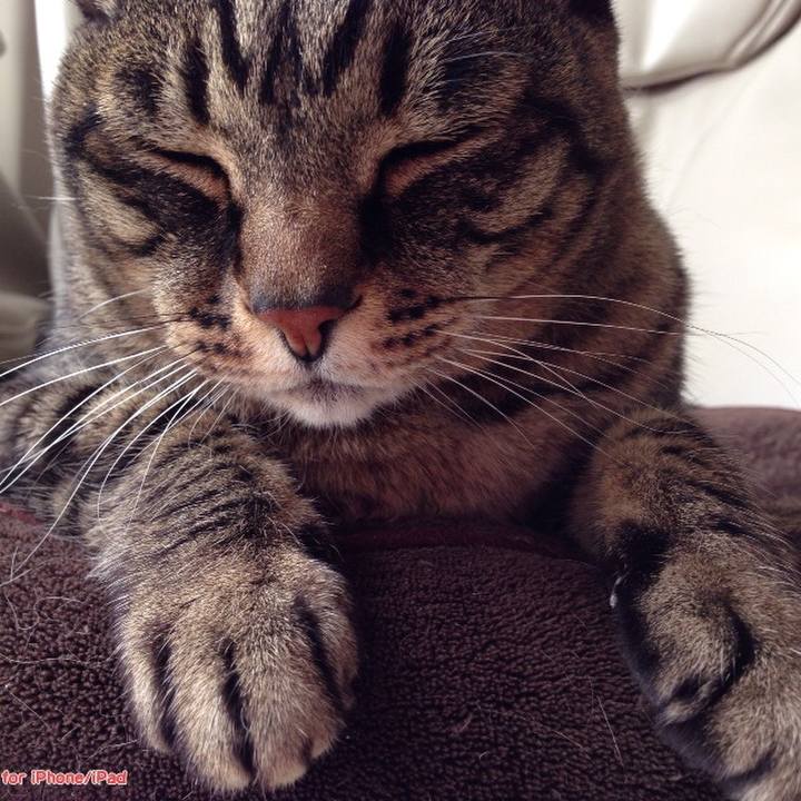 24de98ef 97e2 43b0 8d97 eaae938c0164