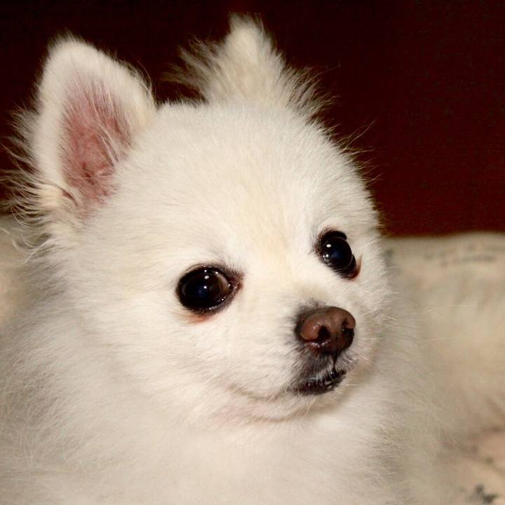 24df1195 f166 40ea b813 cb12d0ac96fa