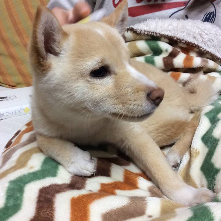 24df5cdc fd43 498b adbf 277d24c4d7cc