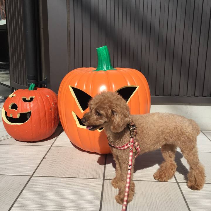 24df98a6 8909 4af8 888a 7bf4832f0458