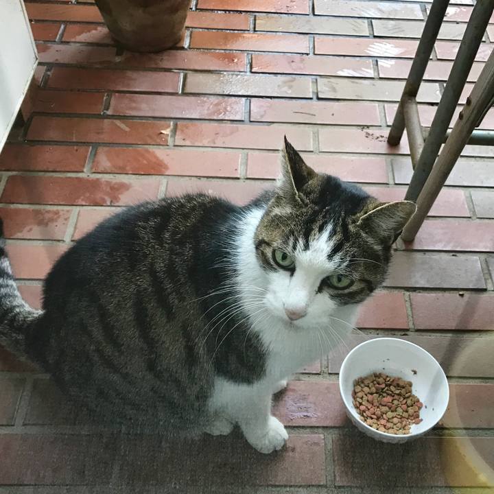 24e03664 d55c 45ab a539 94264c2a1efe