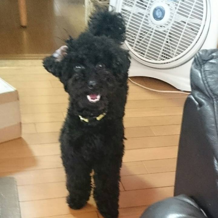 24e0b32f d4c5 4d9c 99ab 2c4255fb82d6