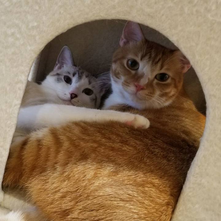 24e0de0d 4332 49a9 adaf afd819467a4d